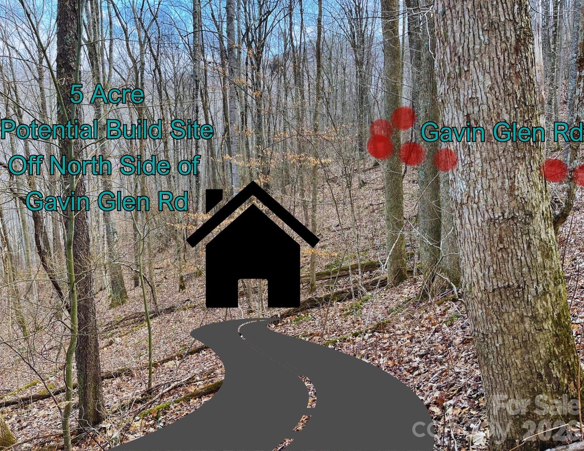 130 Gavin Glenn Road Weaverville NC 28787