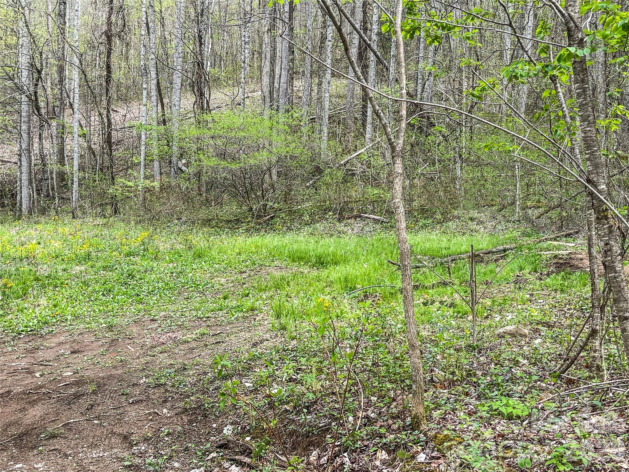 130 Gavin Glenn Road Weaverville NC 28787