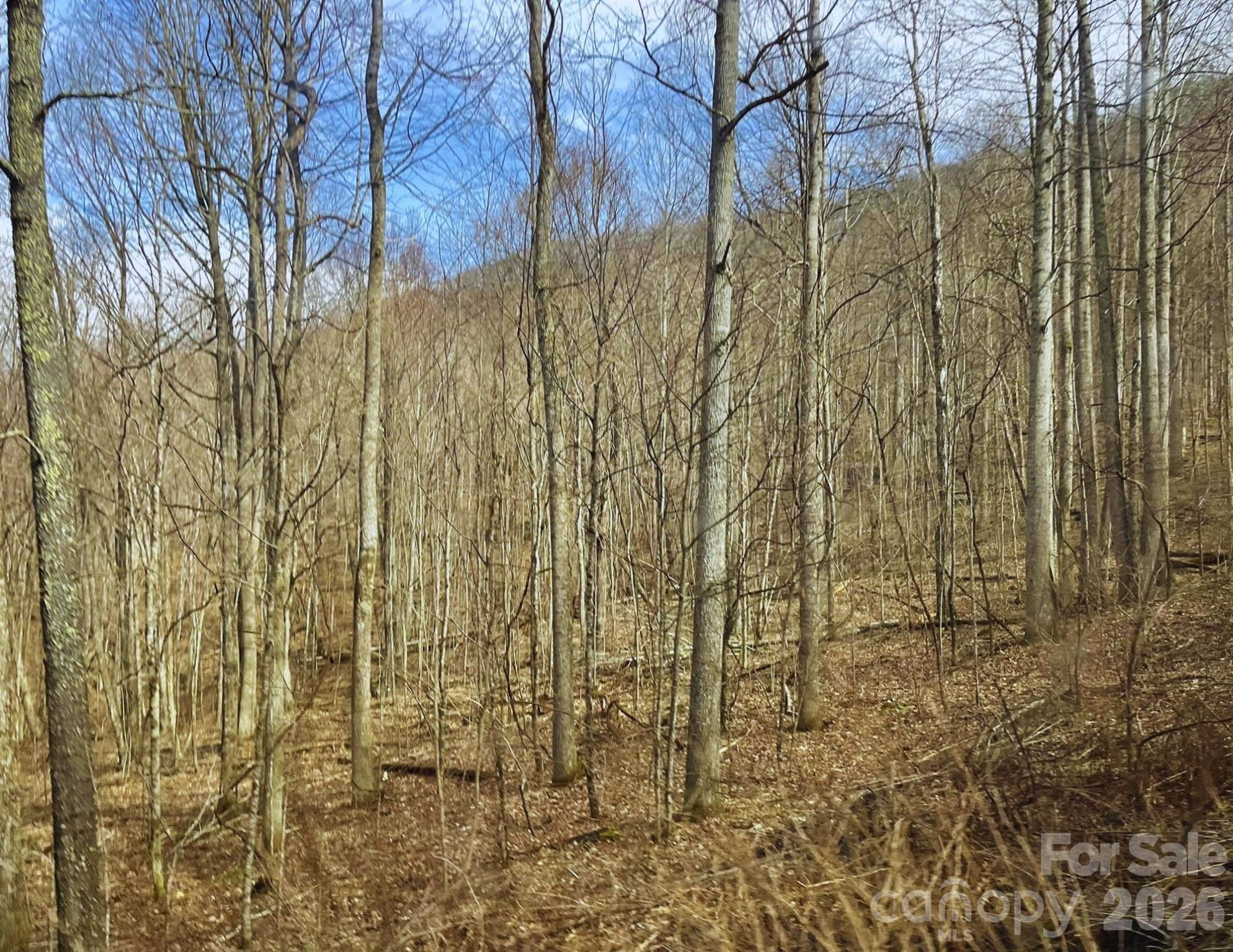 130 Gavin Glenn Road Weaverville NC 28787
