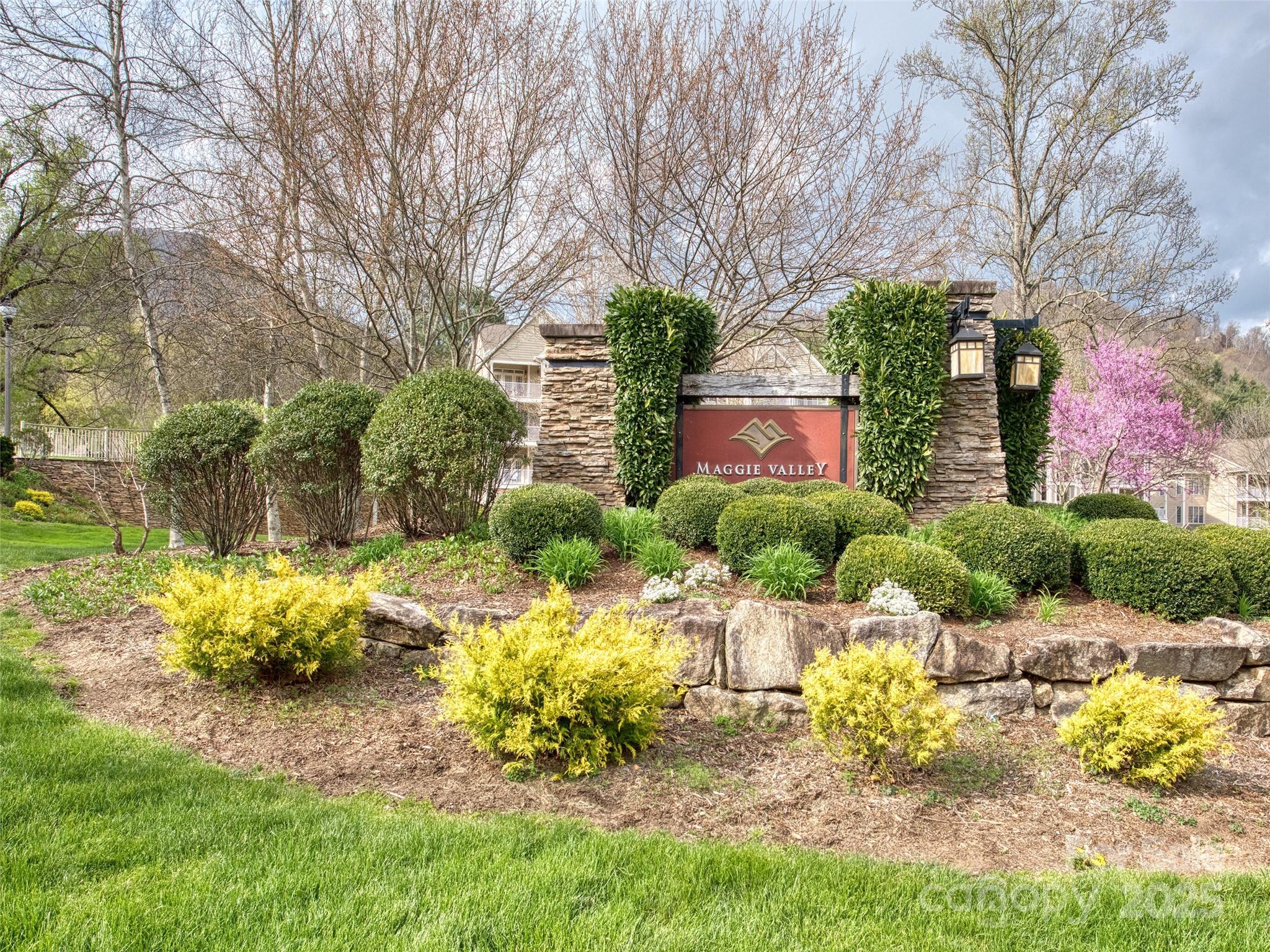 8 Freshwater Cove Maggie Valley NC 28751