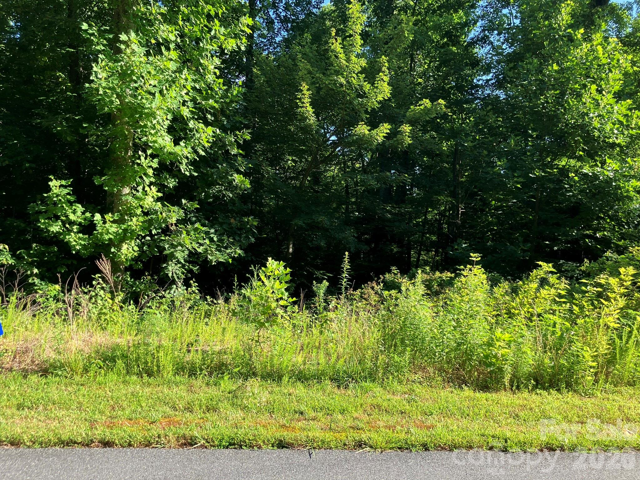 0 Rolling Ridge Trail Lake Lure NC 28746