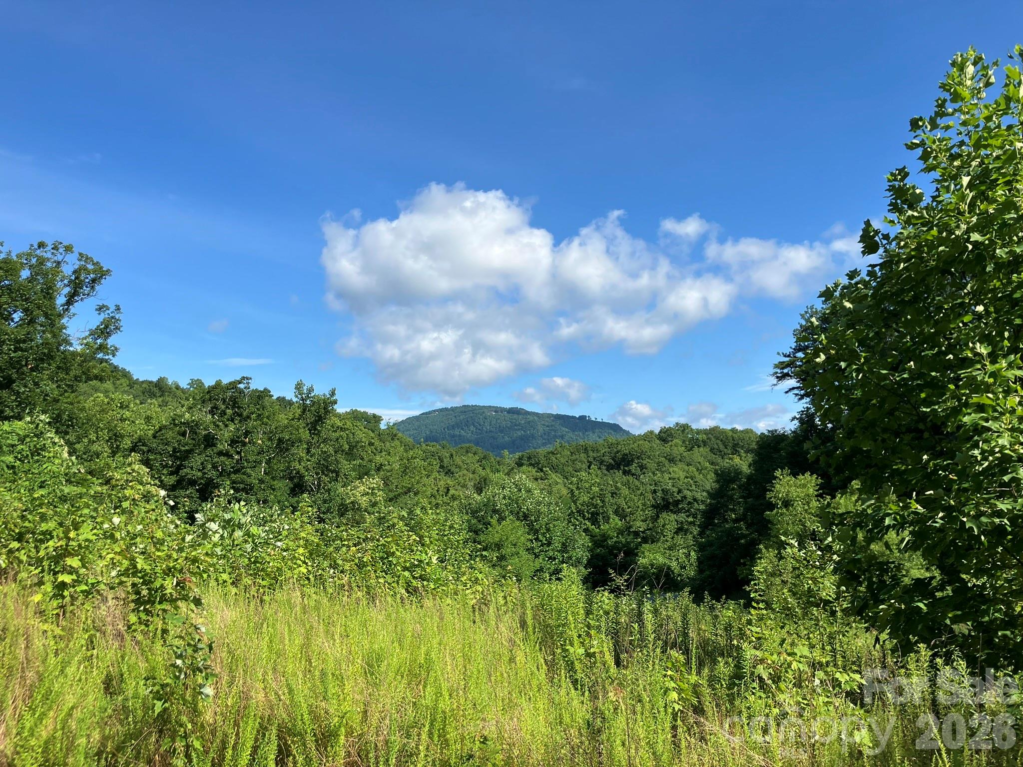 0 Rolling Ridge Trail Lake Lure NC 28746