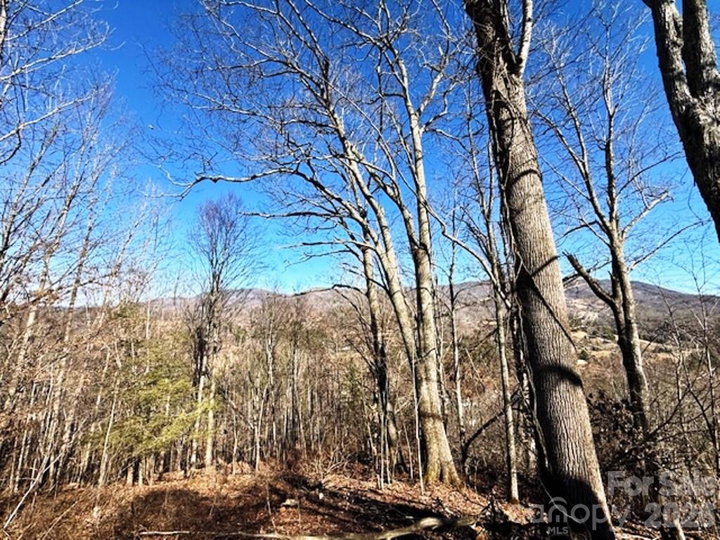 Lot 9 Vilas Overlook Drive Vilas NC 28692