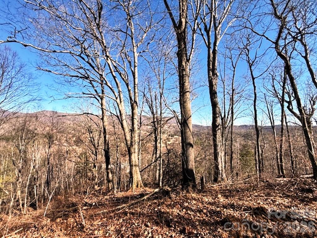 Lot 9 Vilas Overlook Drive Vilas NC 28692