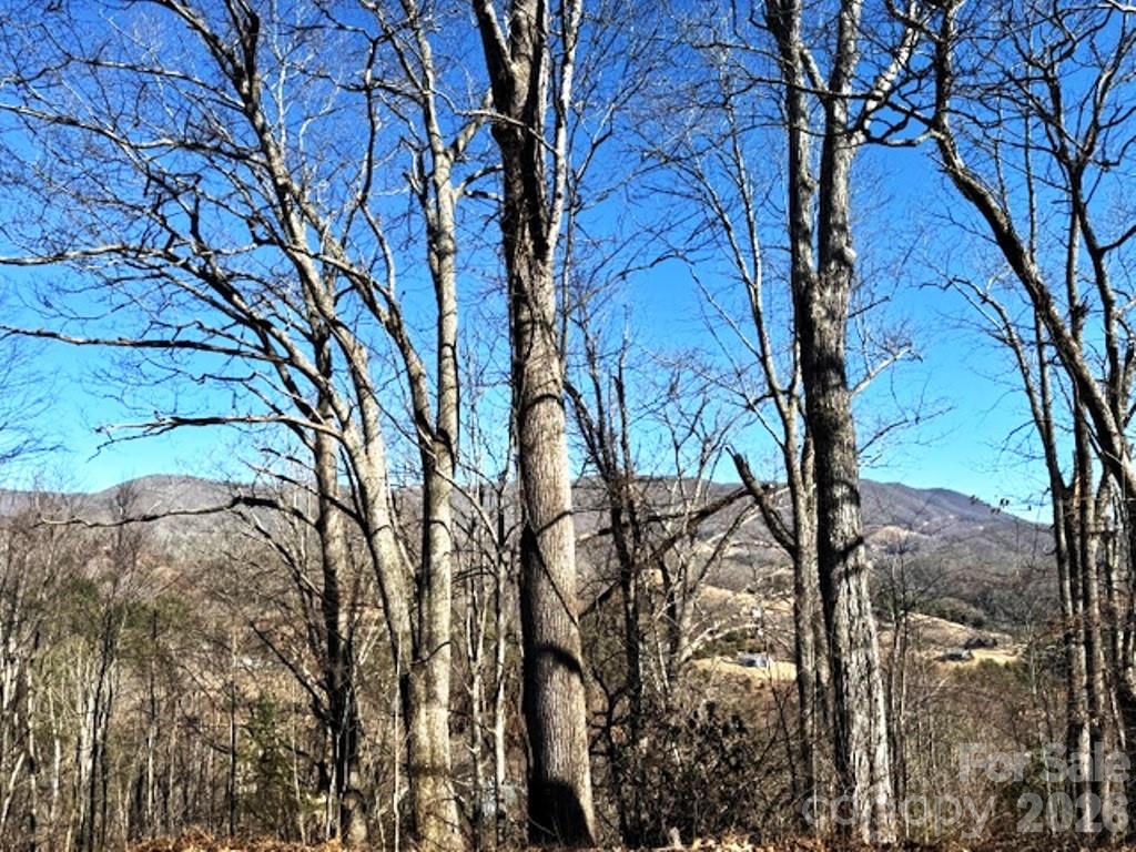 Lot 9 Vilas Overlook Drive Vilas NC 28692