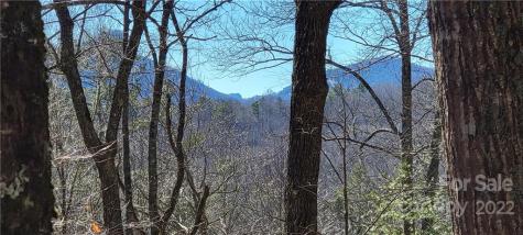 Lot 91 Black Oak Drive Sapphire NC 28774