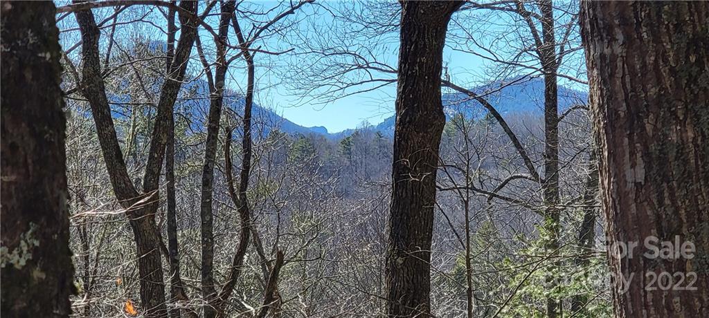 Lot 91 Black Oak Drive Sapphire NC 28774