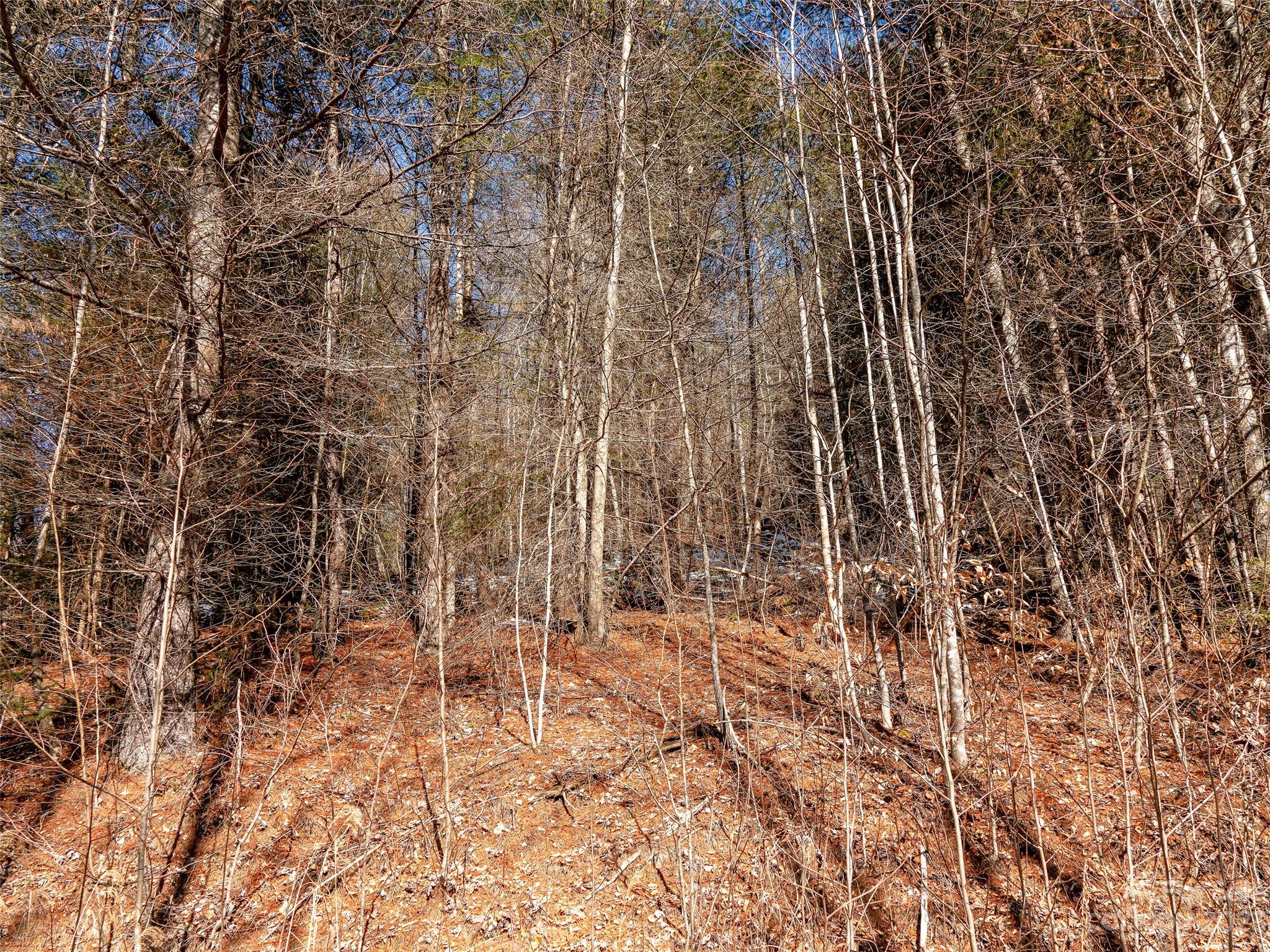 17 Mcpeters Lane Burnsville NC 28714