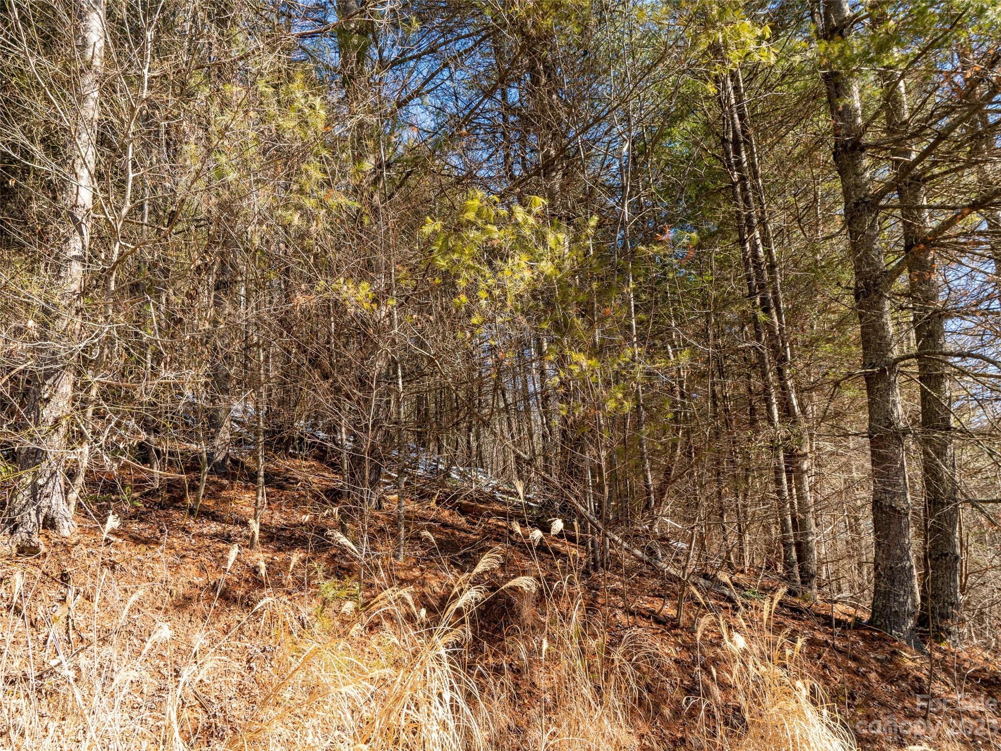 17 Mcpeters Lane Burnsville NC 28714