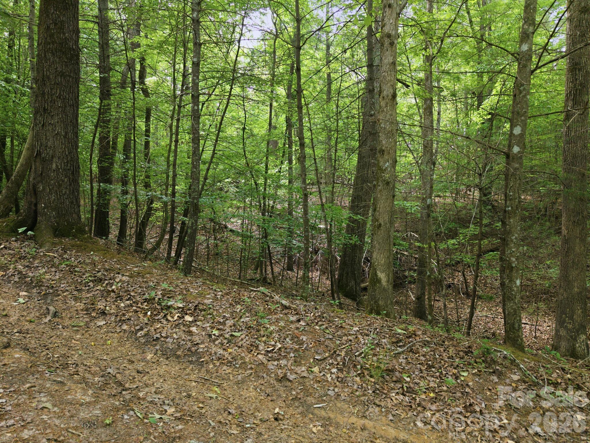 2411 Hundred Acres Lane Lenoir NC 28645