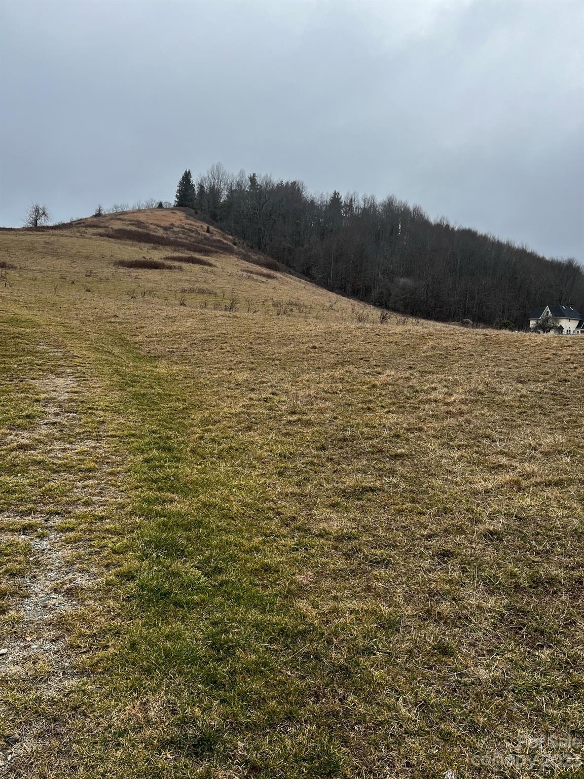 Tbd Poplar Grove Road Boone NC 28607