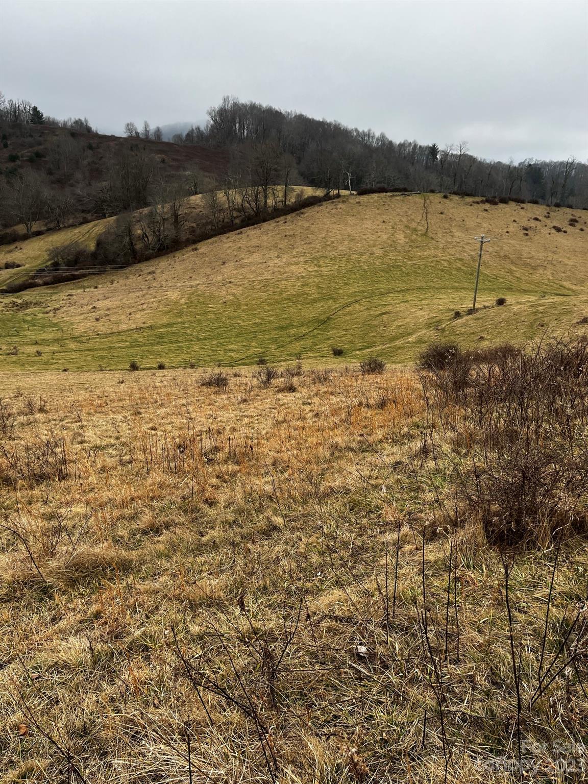 Tbd Poplar Grove Road Boone NC 28607