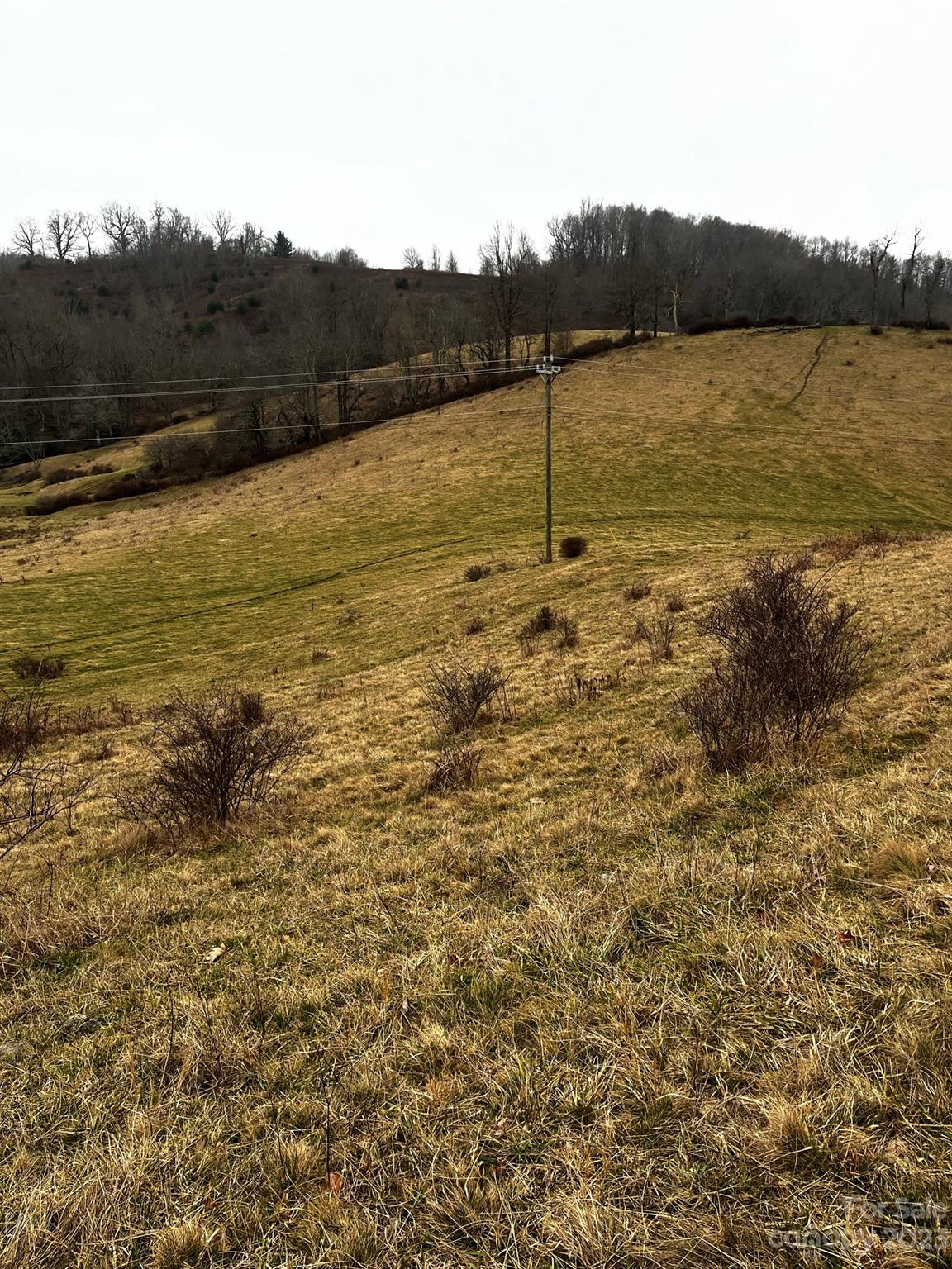 Tbd Poplar Grove Road Boone NC 28607