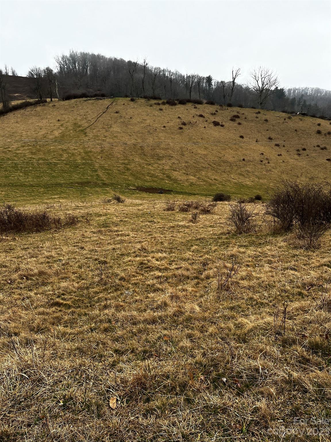 Tbd Poplar Grove Road Boone NC 28607