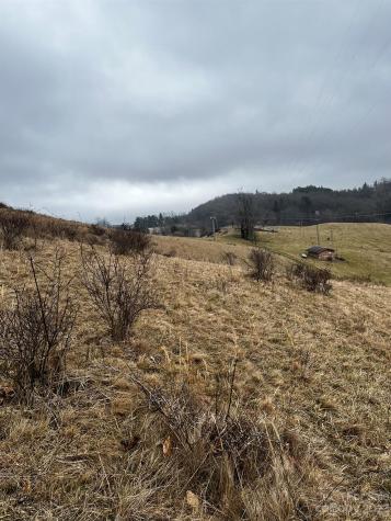Tbd Poplar Grove Road Boone NC 28607