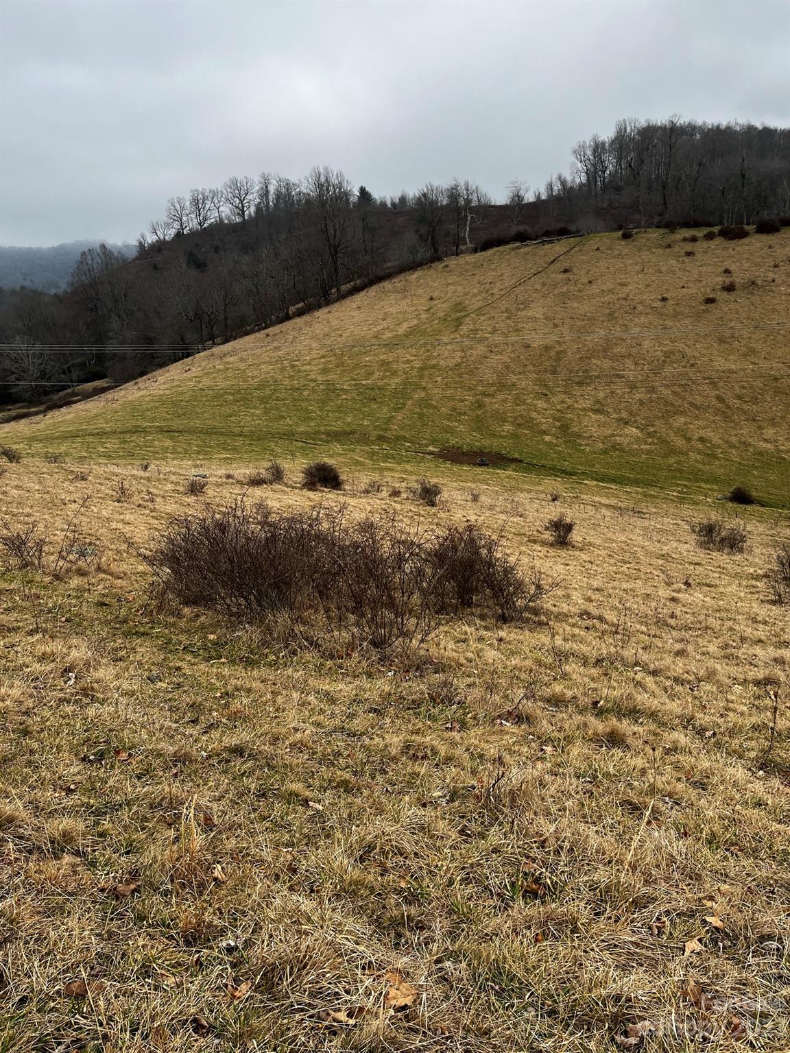 Tbd Poplar Grove Road Boone NC 28607