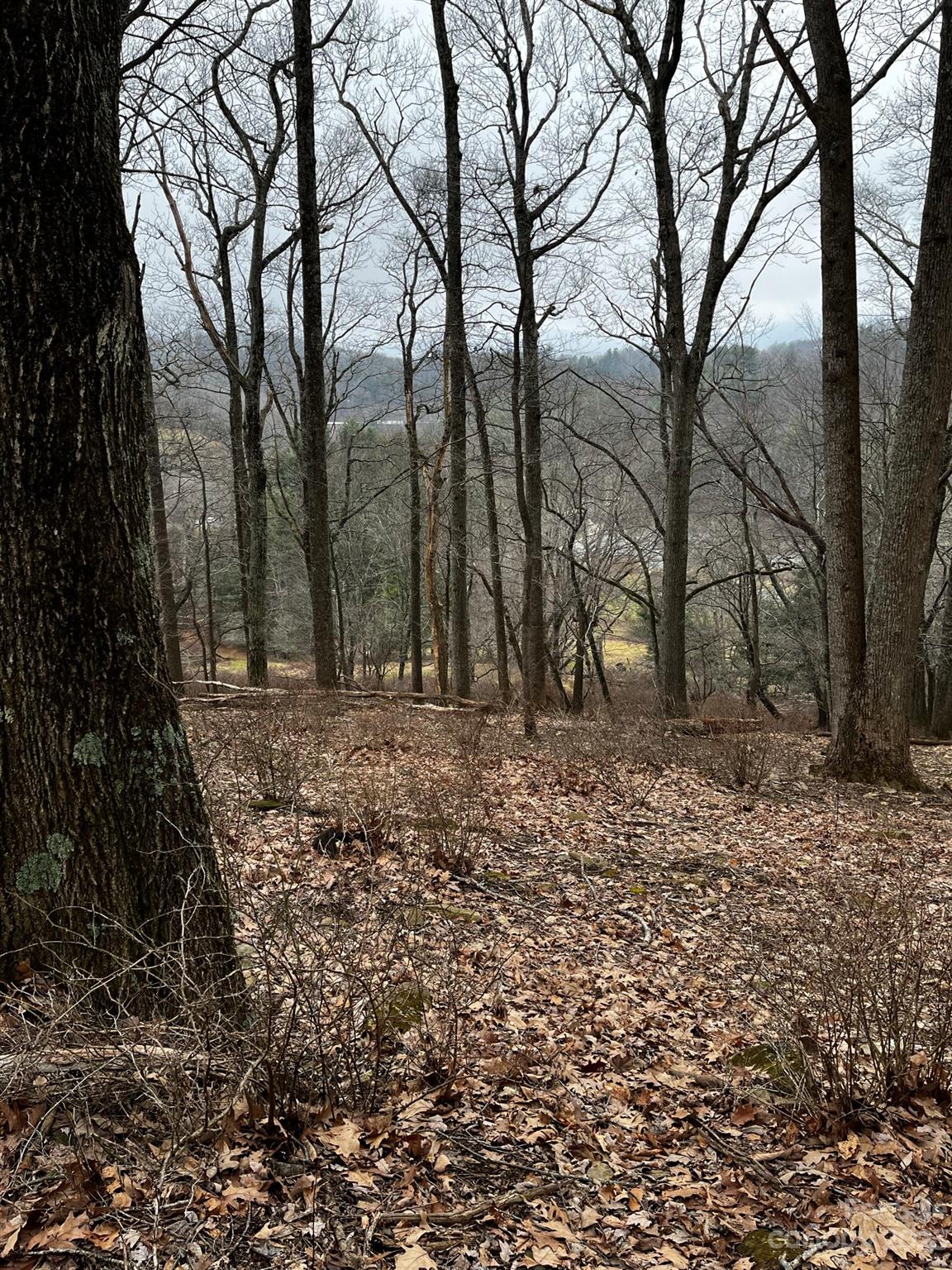 Tbd Poplar Grove Road Boone NC 28607