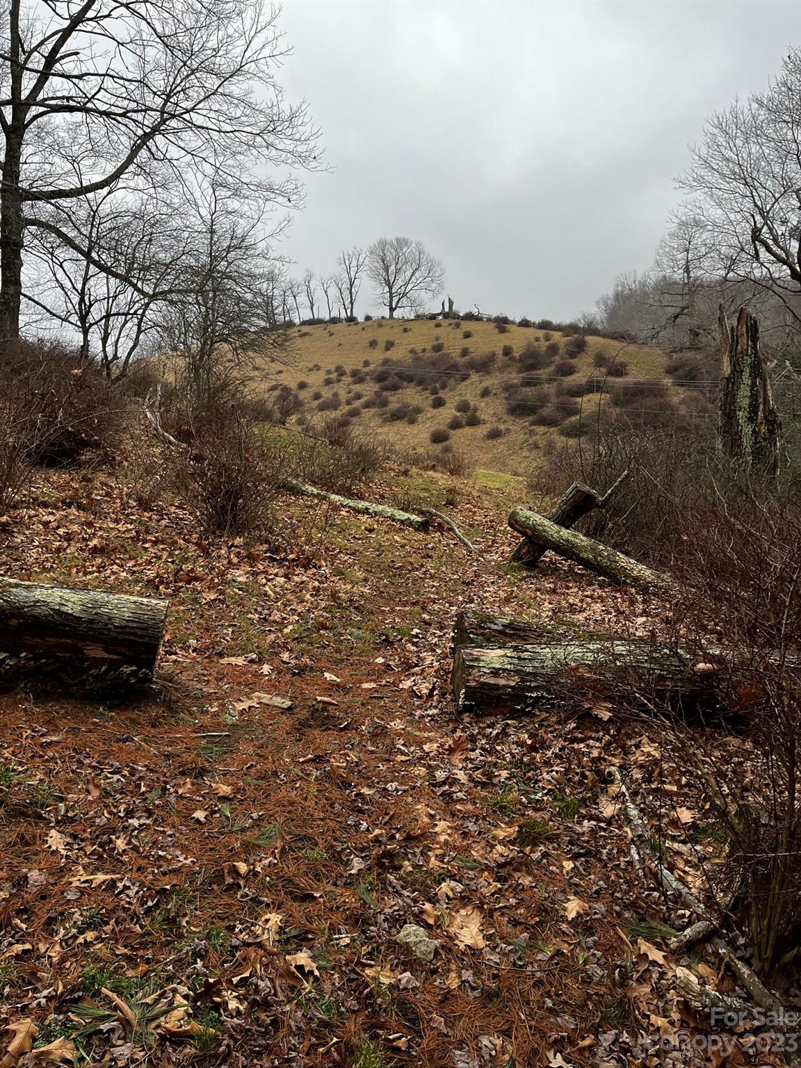 Tbd Poplar Grove Road Boone NC 28607