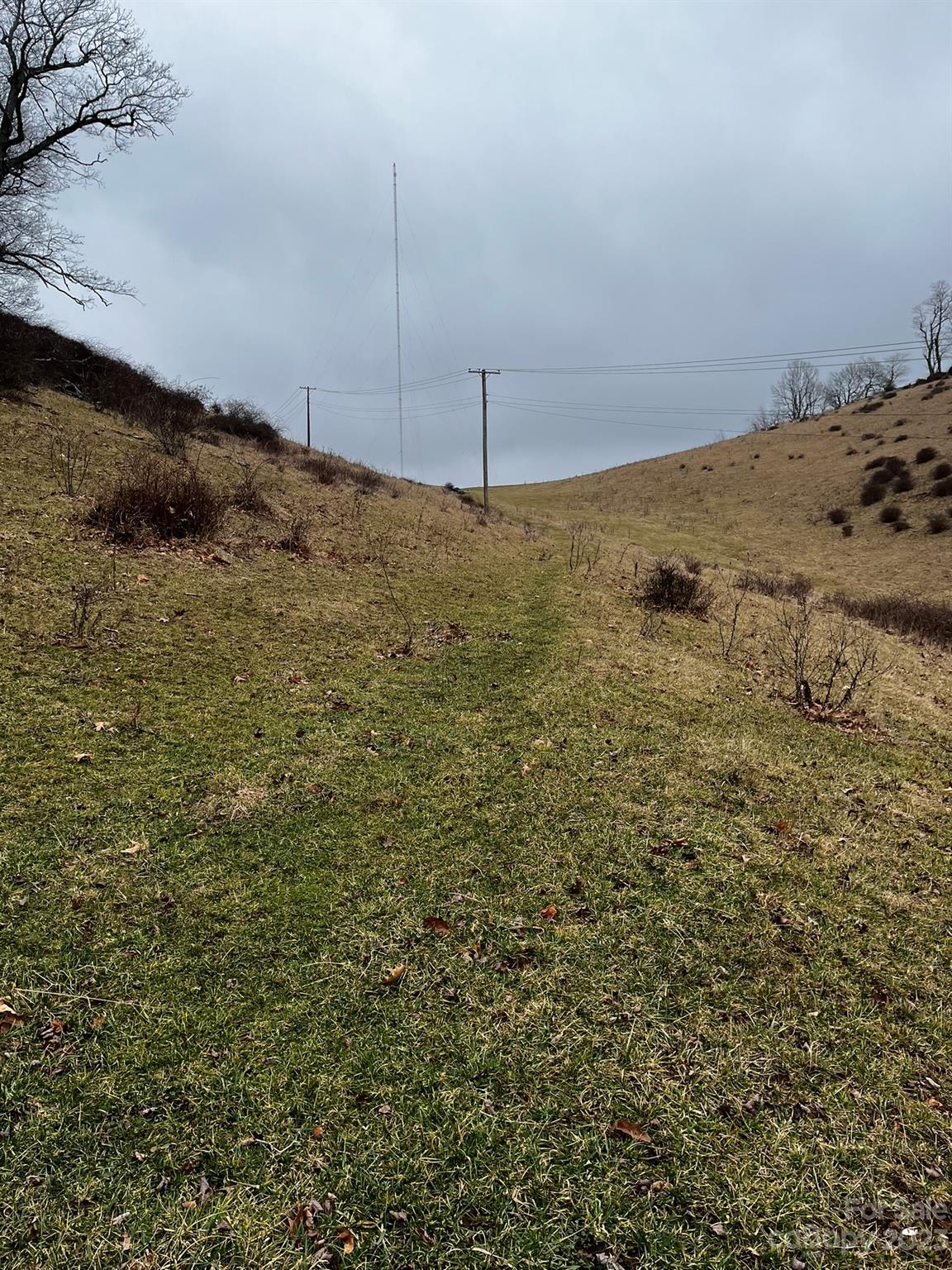 Tbd Poplar Grove Road Boone NC 28607