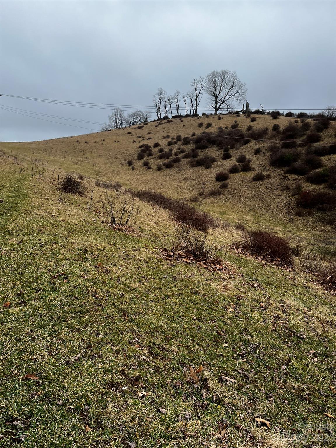 Tbd Poplar Grove Road Boone NC 28607