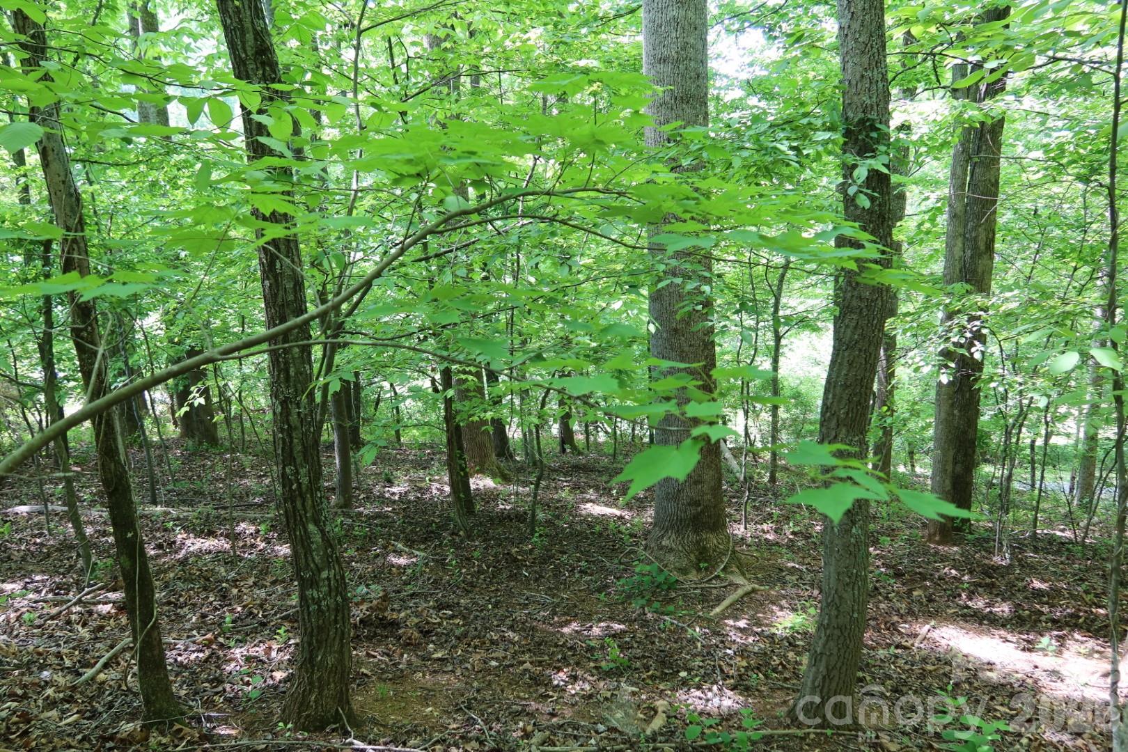 7 Hallaran Drive Marshall NC 28753