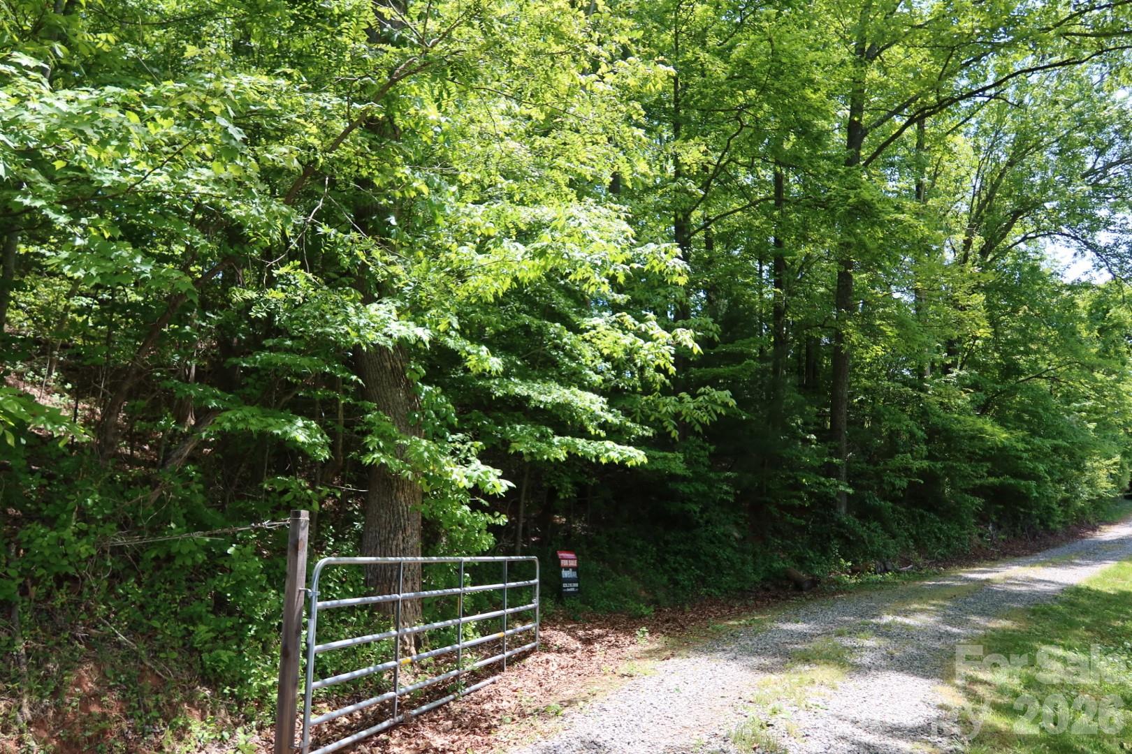 7 Hallaran Drive Leicester NC 28753