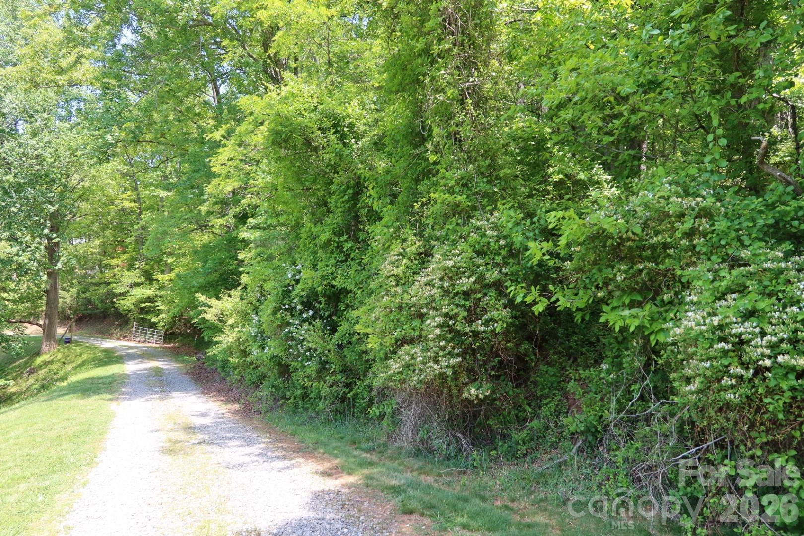 7 Hallaran Drive Marshall NC 28753