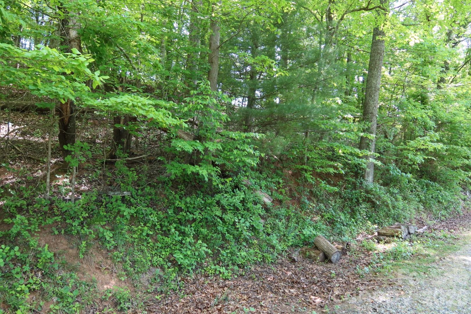 7 Hallaran Drive Marshall NC 28753