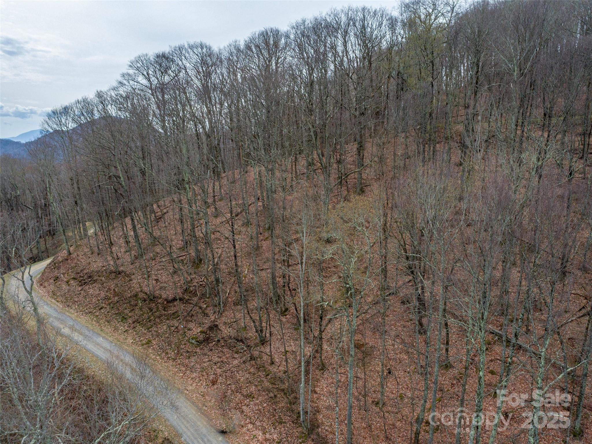00 Chestnut Lane Mars Hill NC 28754
