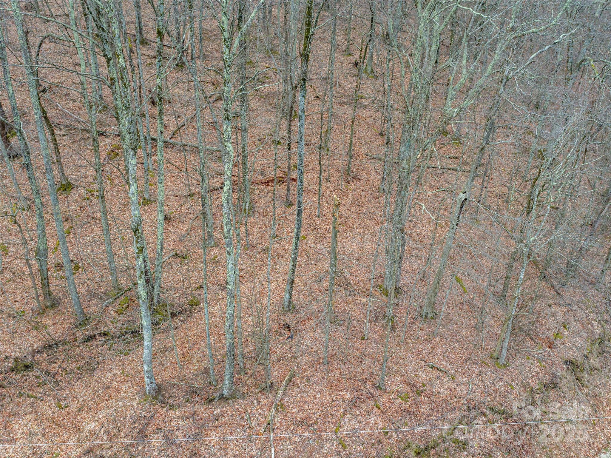 00 Chestnut Lane Mars Hill NC 28754