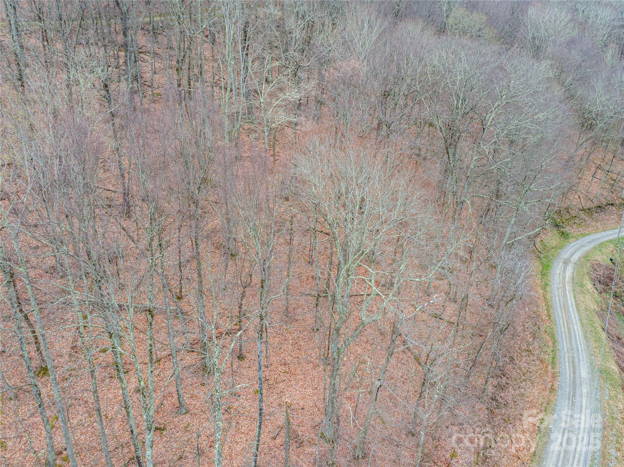 00 Chestnut Lane Mars Hill NC 28754