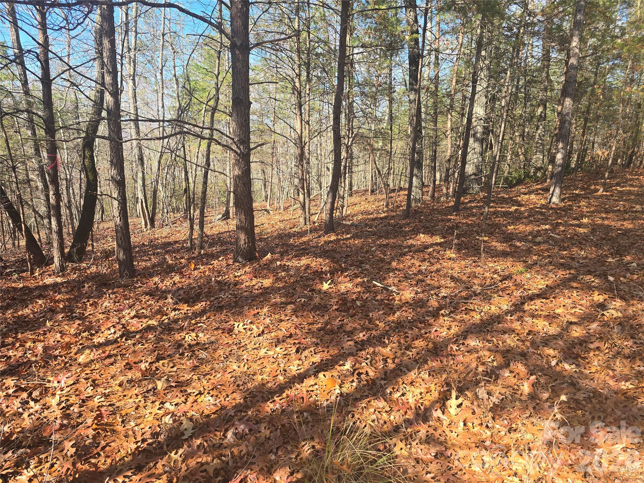 Lot 60 Lake Adger Parkway Mill Spring NC 28756