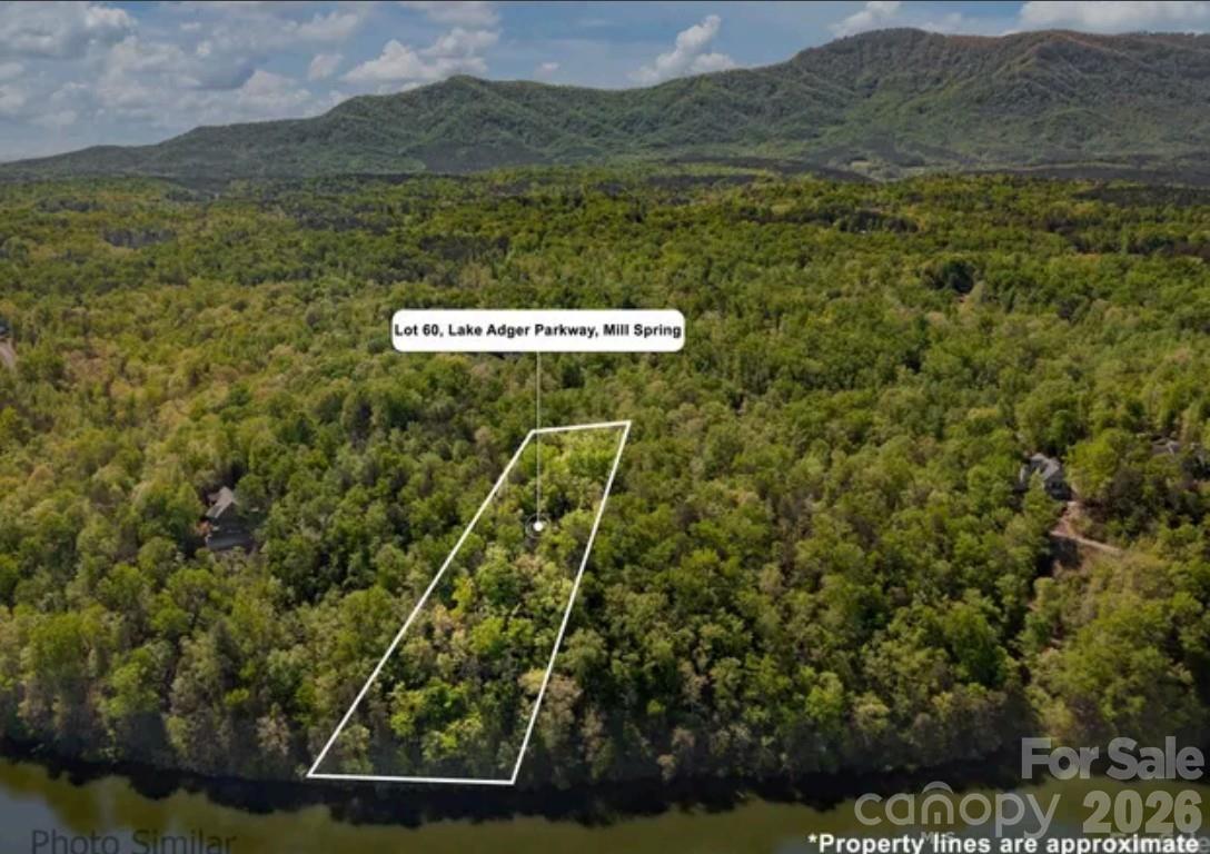 Lot 60 Lake Adger Parkway Mill Spring NC 28756