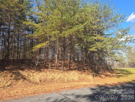 Lot 60 Lake Adger Parkway Mill Spring NC 28756