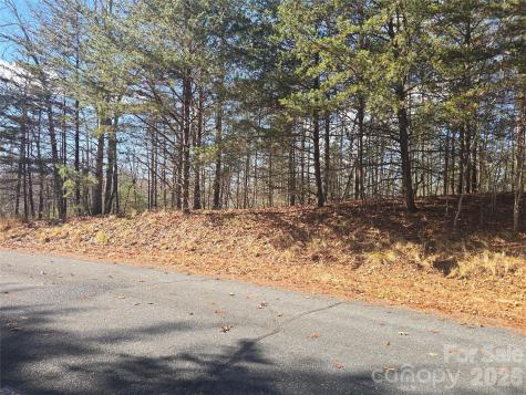 Lot 60 Lake Adger Parkway Mill Spring NC 28756