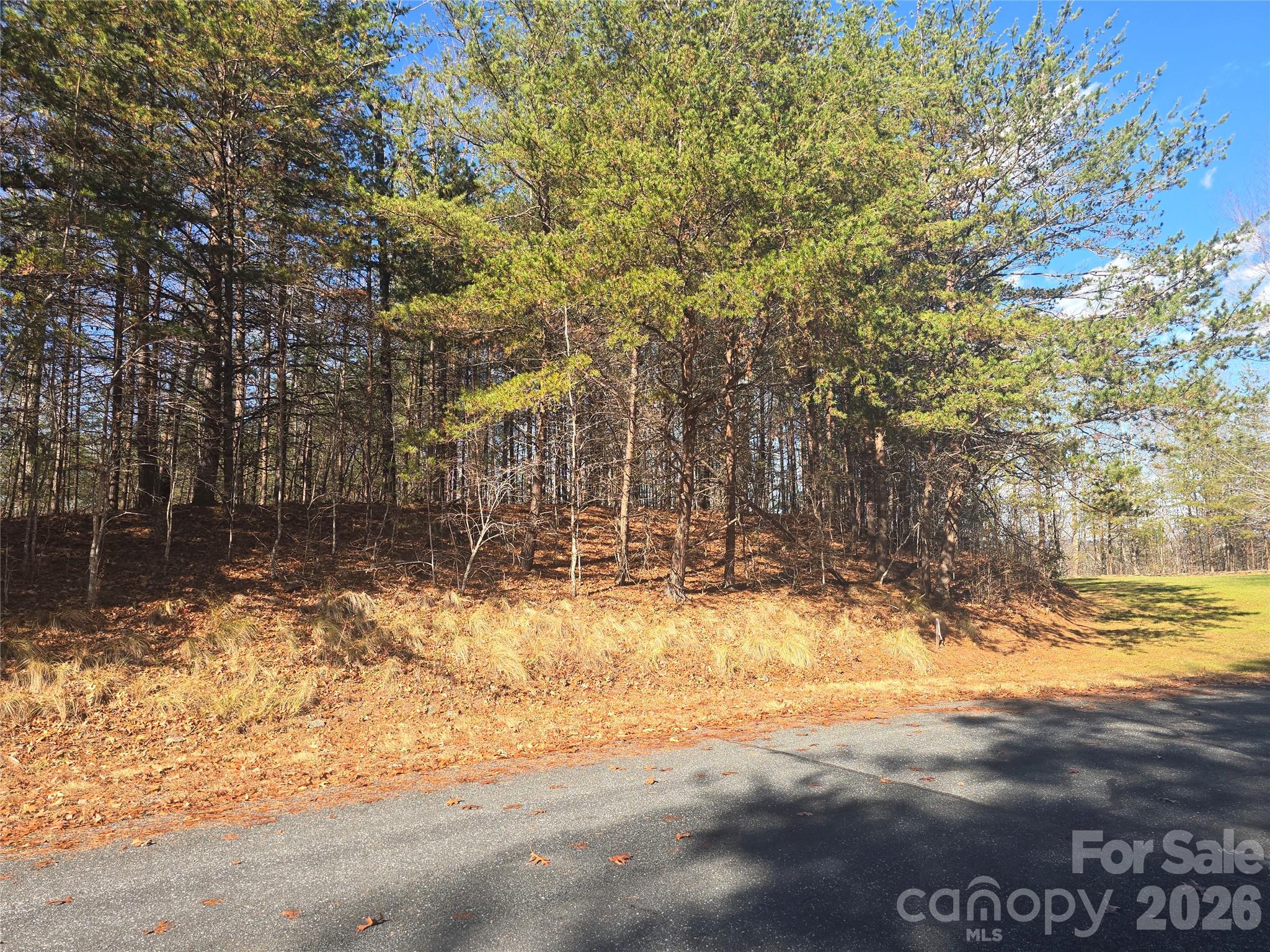 Lot 60 Lake Adger Parkway Mill Spring NC 28756