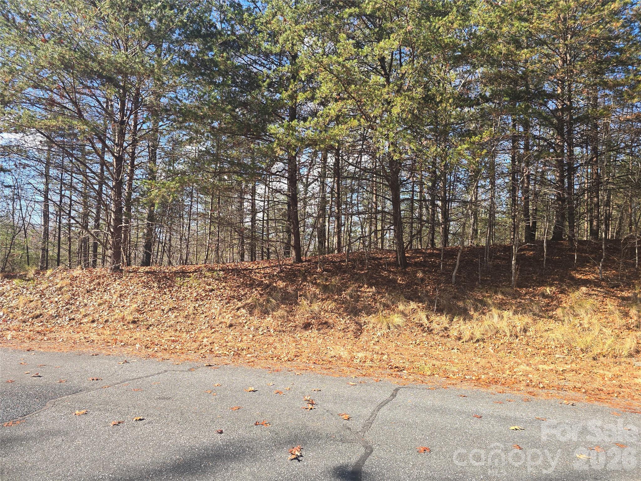 Lot 60 Lake Adger Parkway Mill Spring NC 28756