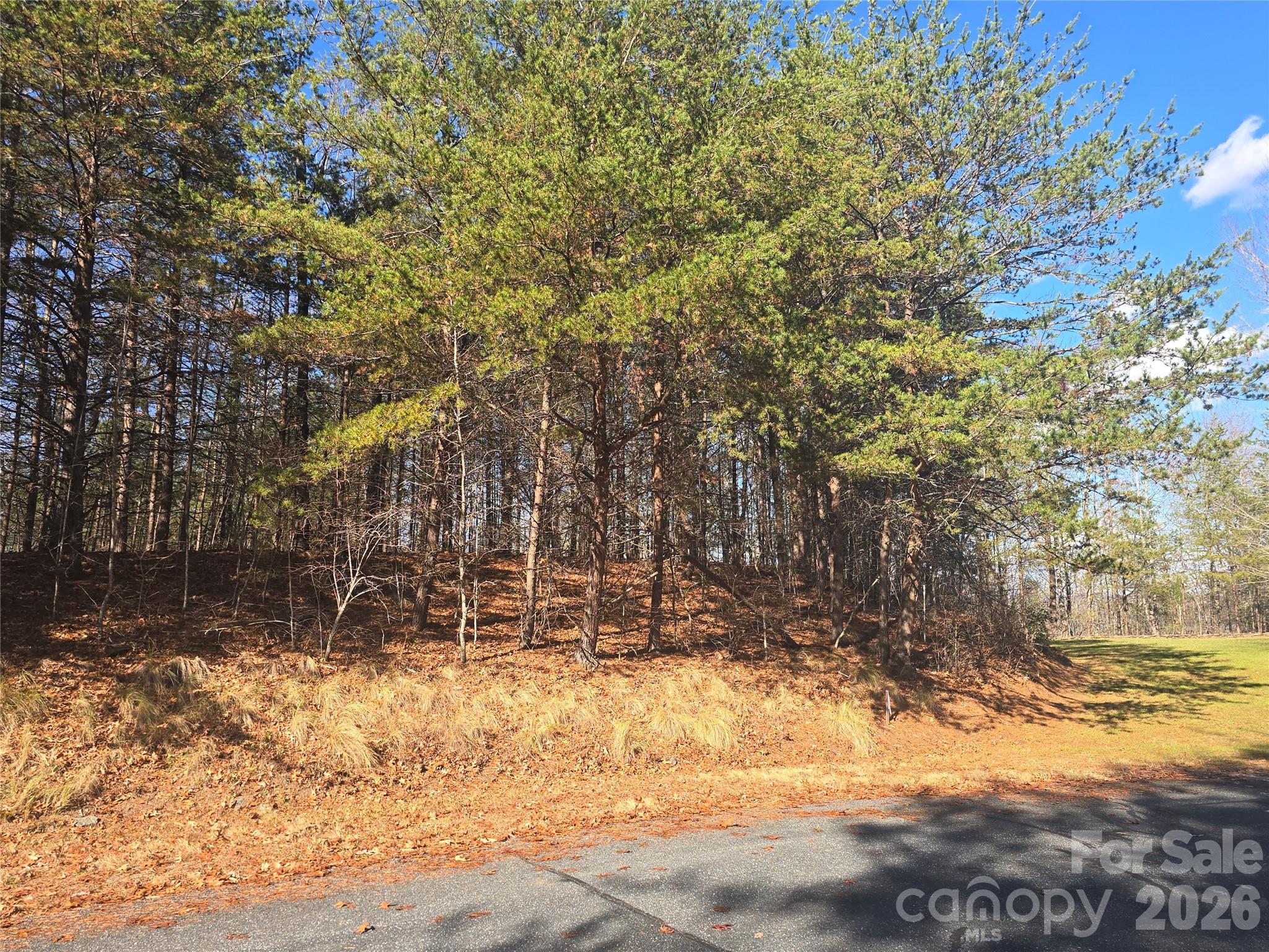 Lot 60 Lake Adger Parkway Mill Spring NC 28756