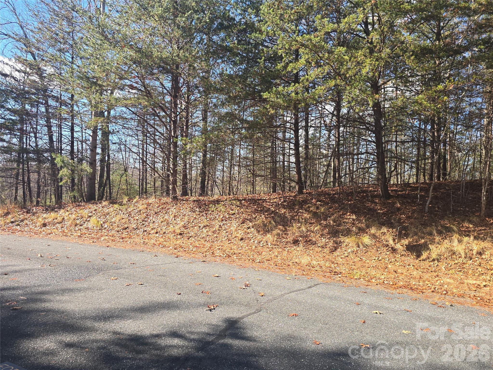 Lot 60 Lake Adger Parkway Mill Spring NC 28756
