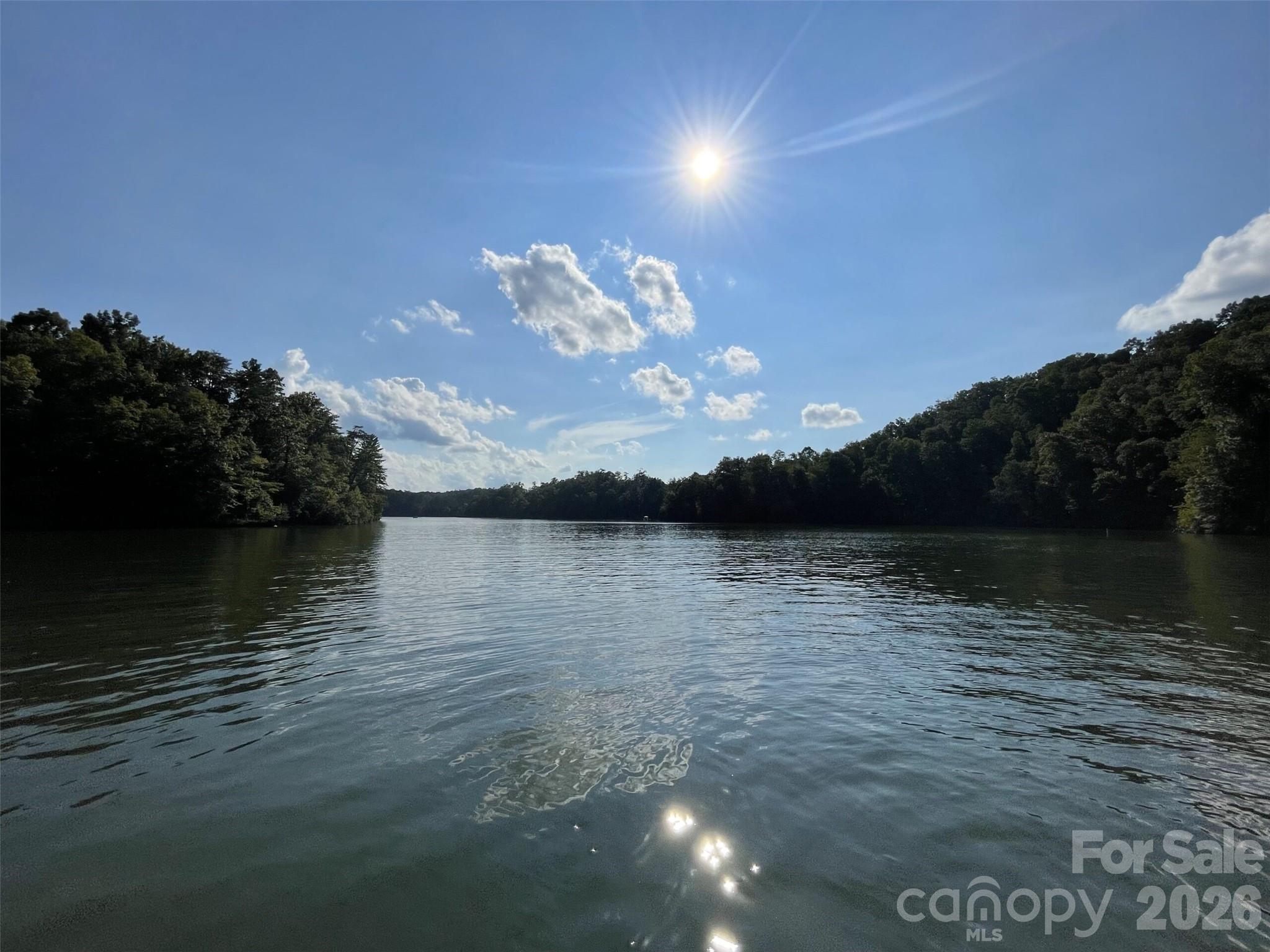 Lot 60 Lake Adger Parkway Mill Spring NC 28756