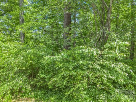 65 Bradford Vistas Vista Fletcher NC 28732