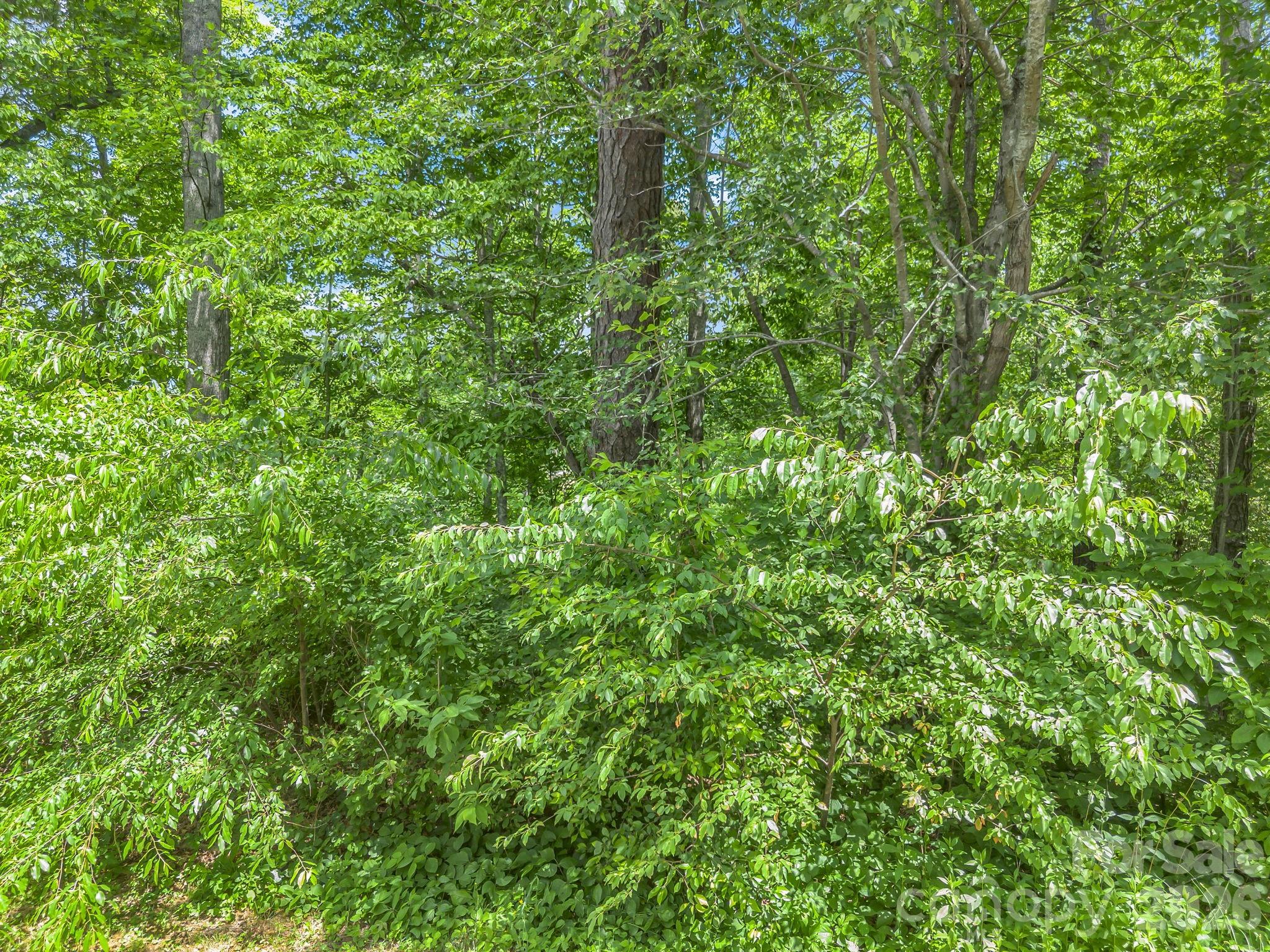 65 Bradford Vistas Vista Fletcher NC 28732