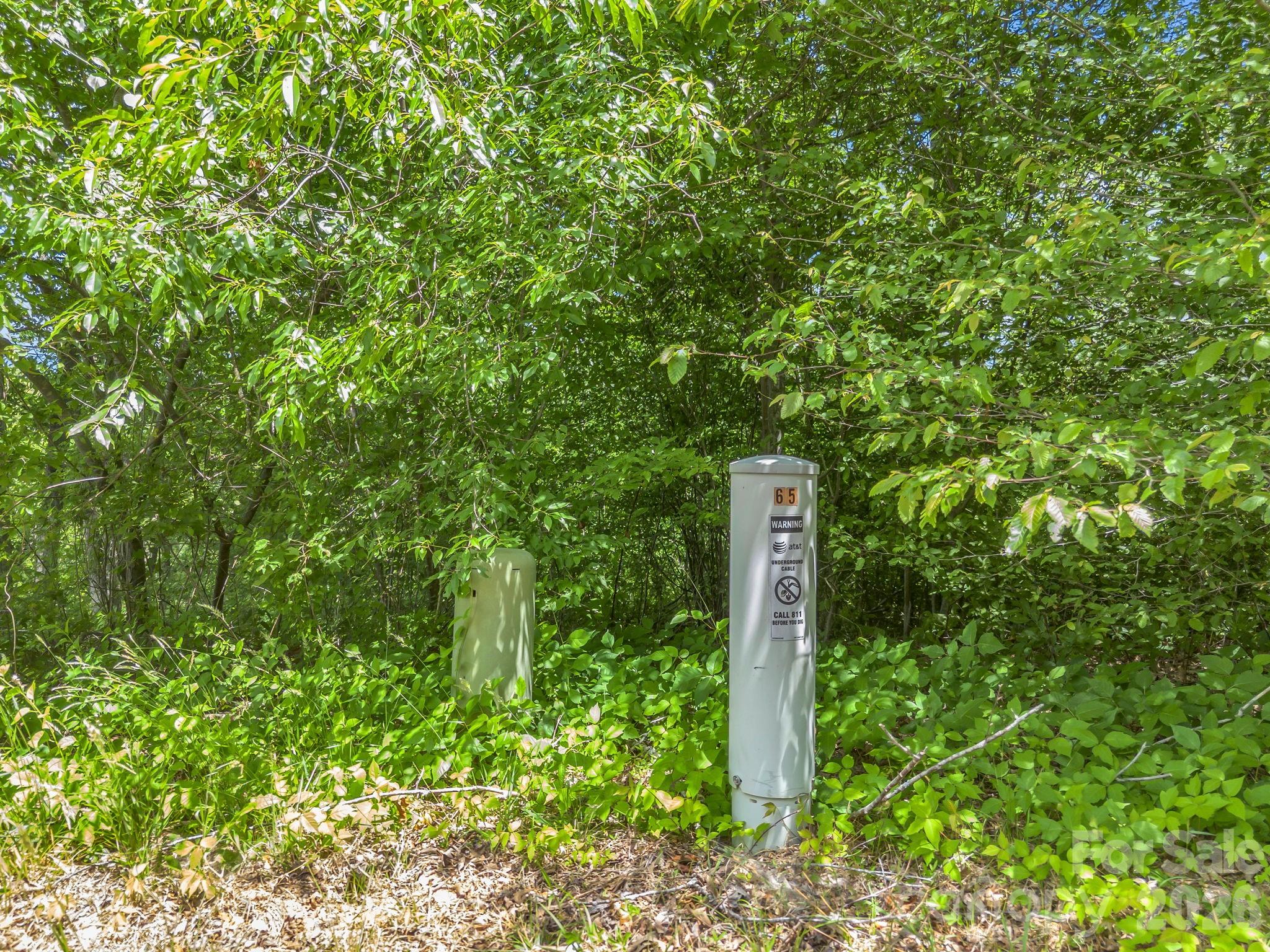 65 Bradford Vistas Vista Fletcher NC 28732
