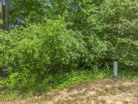 65 Bradford Vistas Vista Fletcher NC 28732