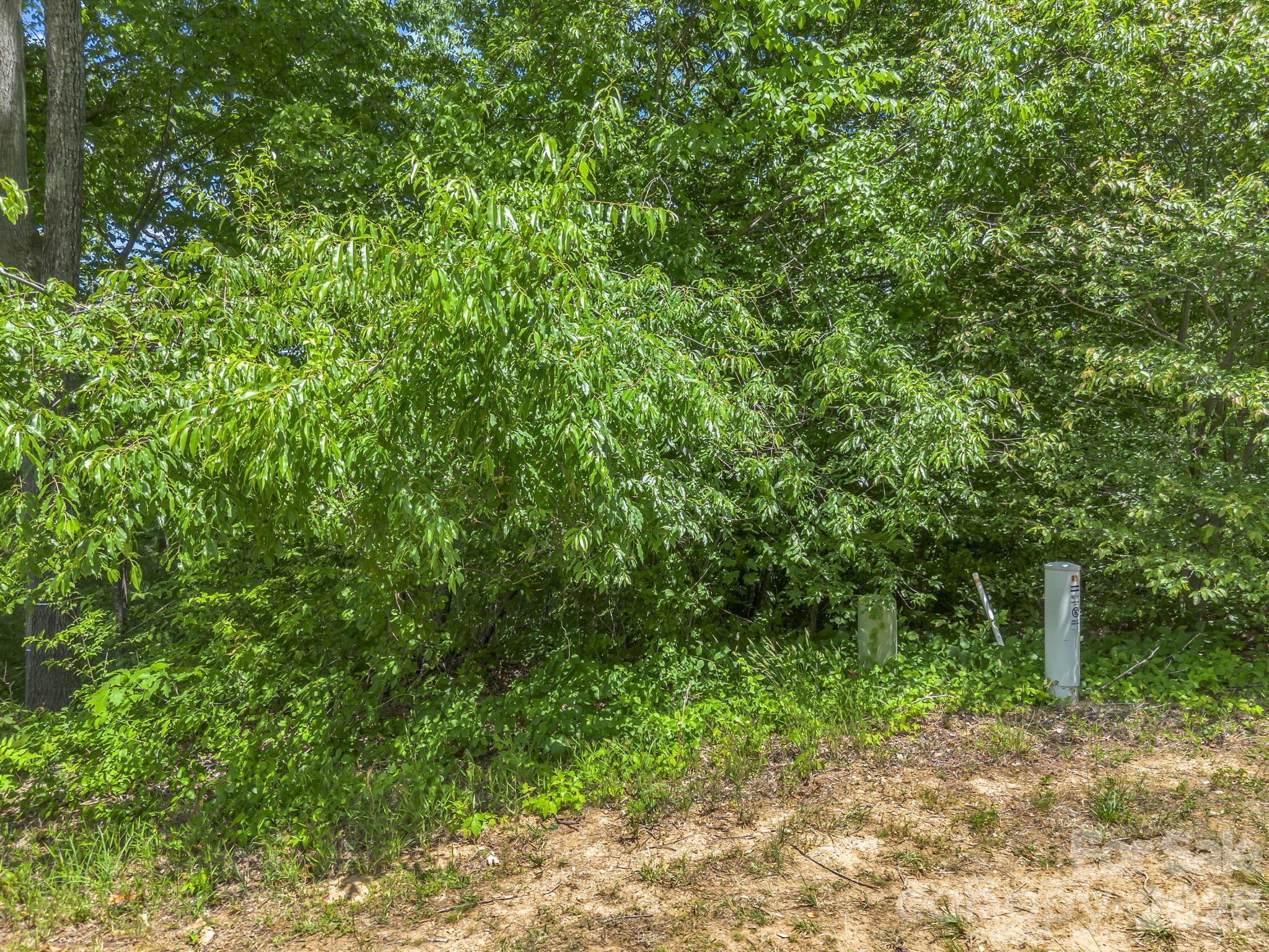 65 Bradford Vistas Vista Fletcher NC 28732