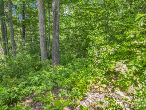 65 Bradford Vistas Vista Fletcher NC 28732