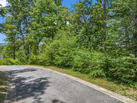 65 Bradford Vistas Vista Fletcher NC 28732
