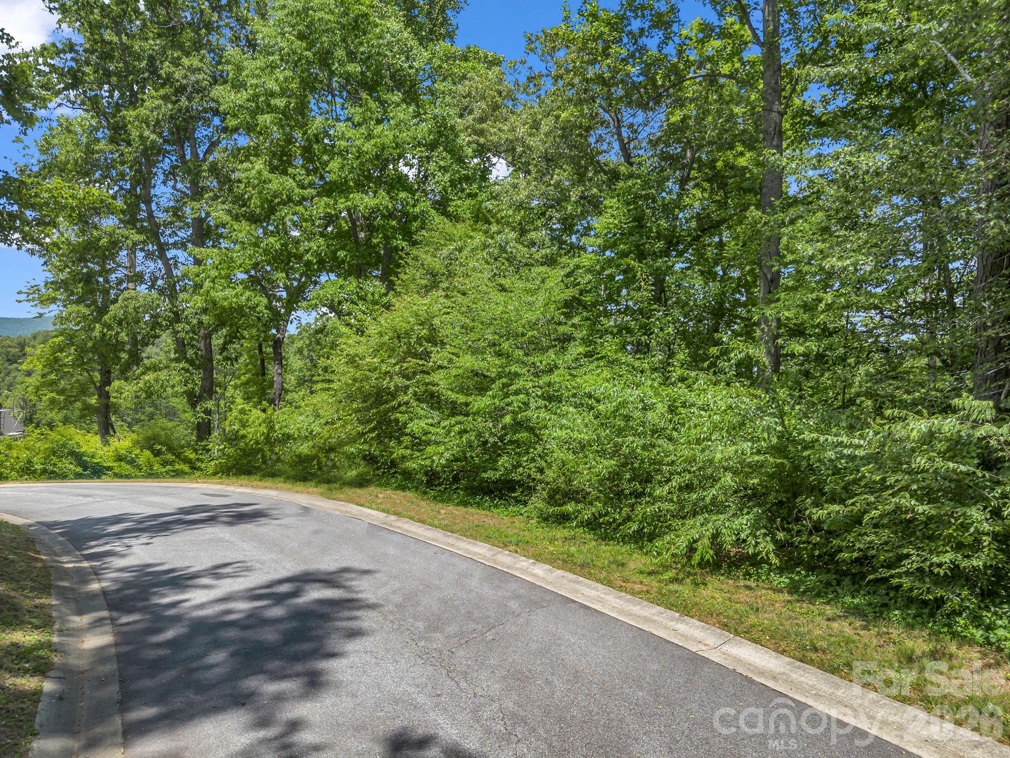 65 Bradford Vistas Vista Fletcher NC 28732