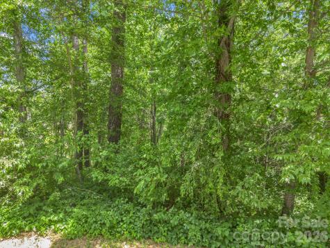 65 Bradford Vistas Vista Fletcher NC 28732