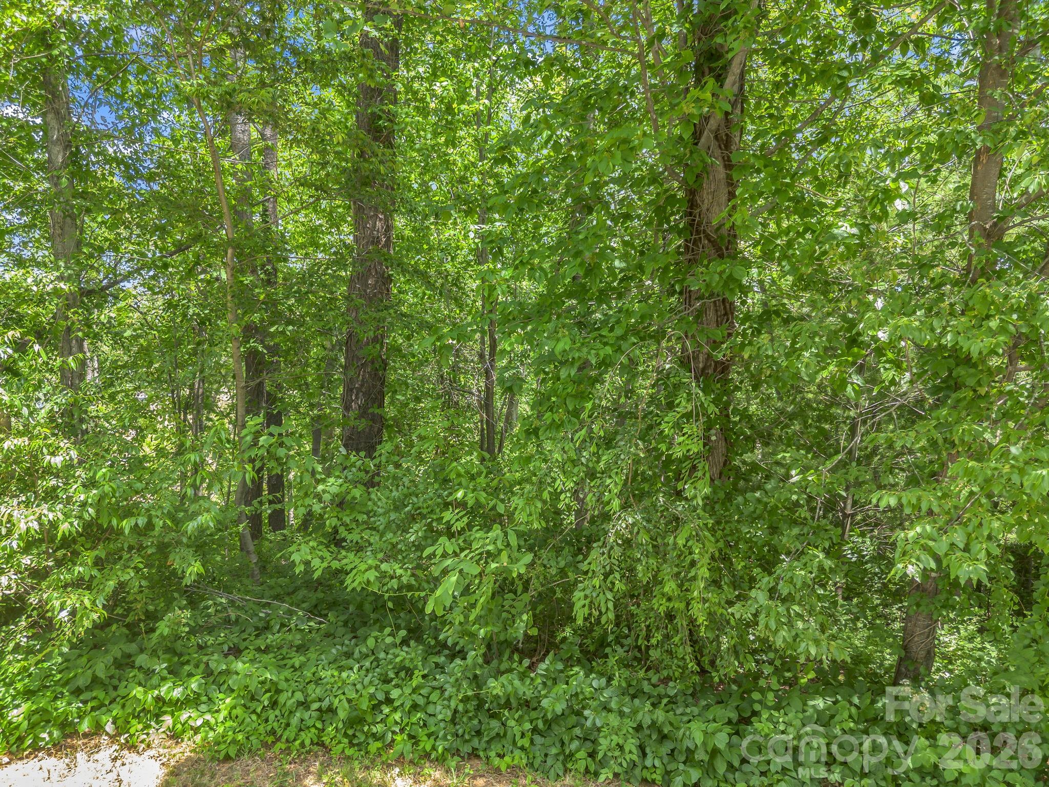 65 Bradford Vistas Vista Fletcher NC 28732